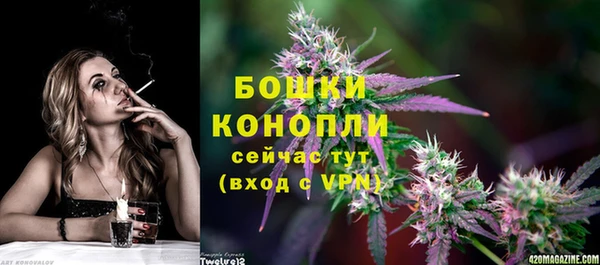 стафф Козельск