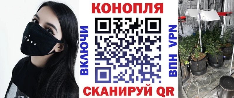 Марихуана сатива Кимовск